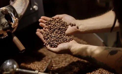 Cafeaua din Kenya – arome si particularitati regionale