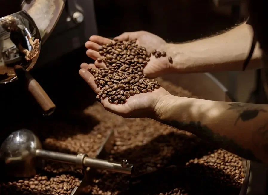 Cafeaua din Kenya – arome si particularitati regionale